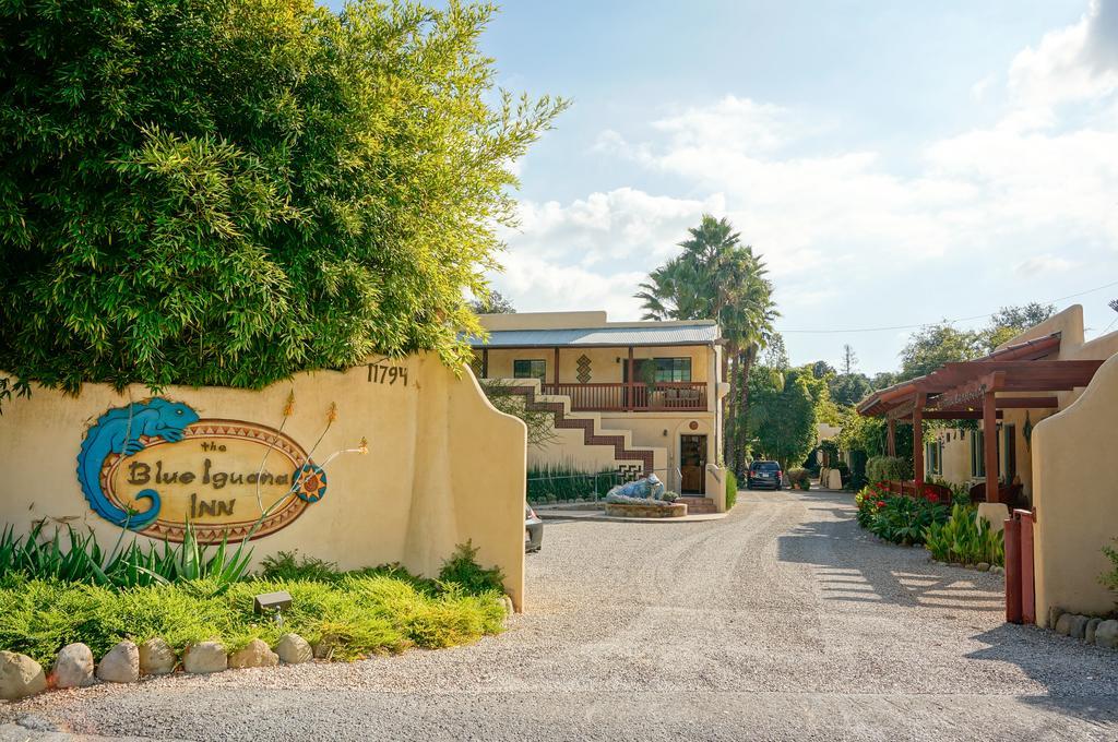 Blue Iguana Inn Ojai Bagian luar foto